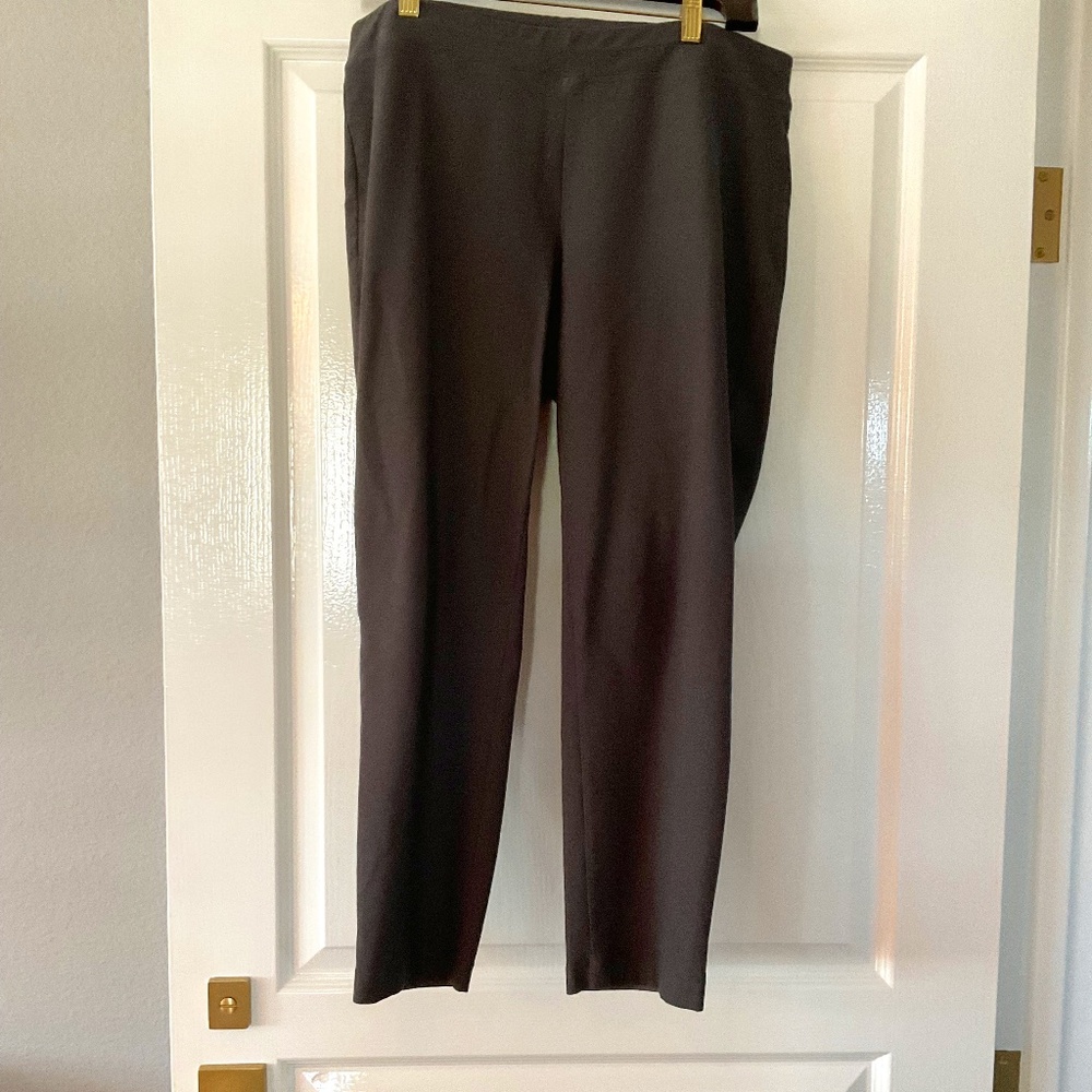 Eileen Fisher grey pants PL